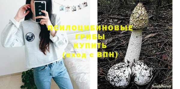 спайс Алексин