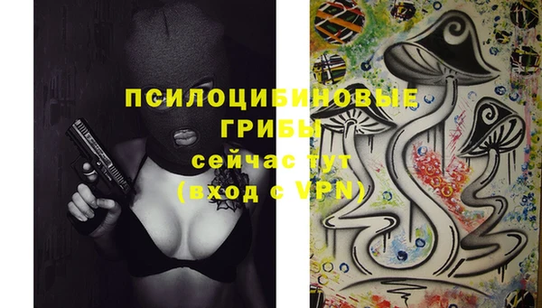спайс Алексин