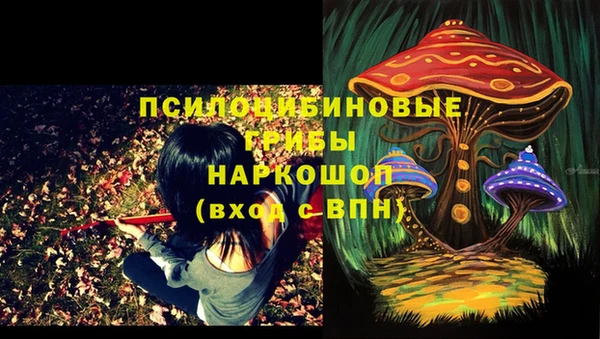 дживик Алексеевка