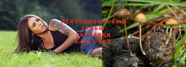 спайс Алексин