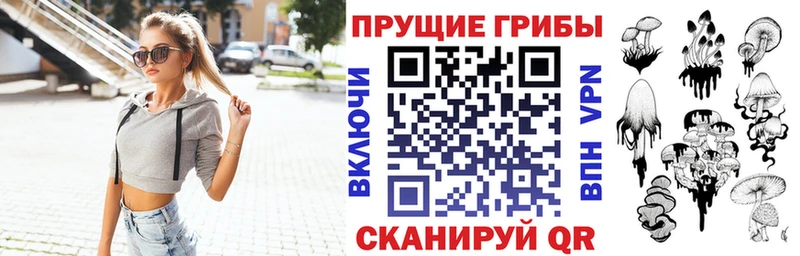 Псилоцибиновые грибы Psilocybe  купить наркотик  hydra рабочий сайт  Кыштым 