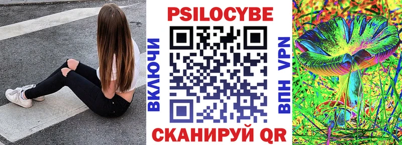 Псилоцибиновые грибы Psilocybe Кыштым