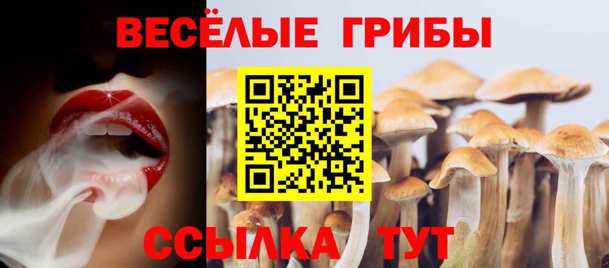 Псилоцибиновые грибы мухоморы Кыштым