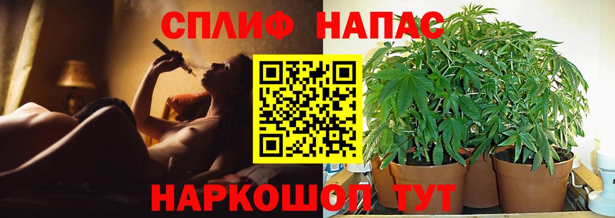 Бошки Шишки LSD WEED  Вход с VPN  Конопля семена  Бошки Шишки индика  Кыштым 